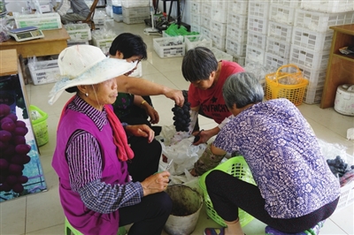 0919_113133_126.jpg 2019.9.19.1.jpg