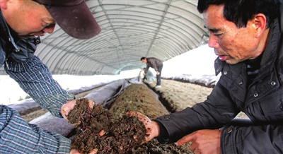 0201_112154_659.jpg 2019.2.1.jpg