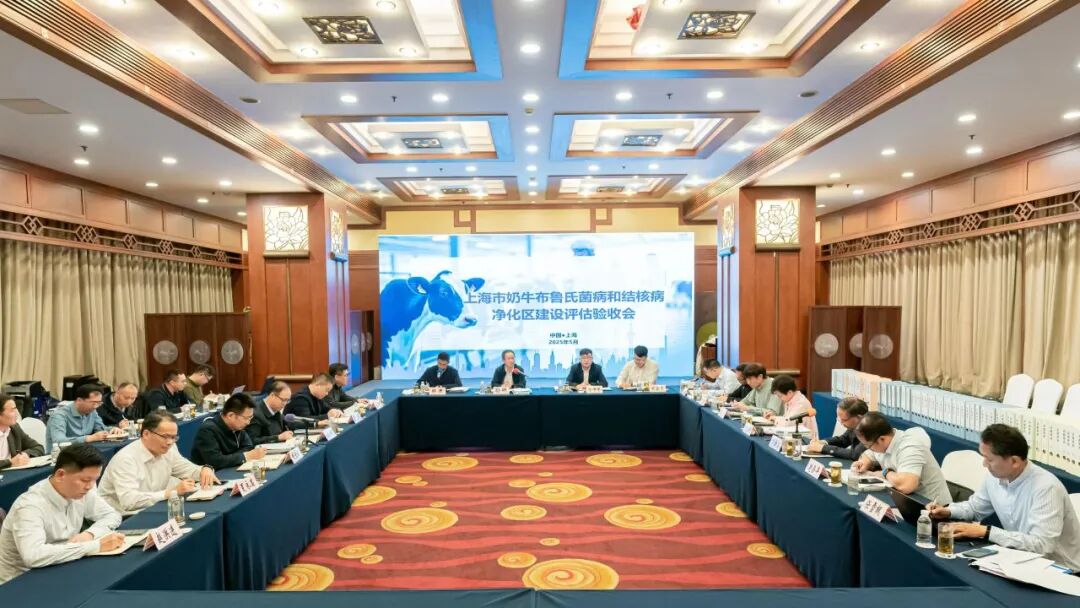从一杯鲜奶的“安全溢价”，看上海奶源如何跻身世界前列——上海建成全国首个省级奶牛“两病”净化区观察