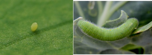 0628_095541_564.jpg 4.jpg