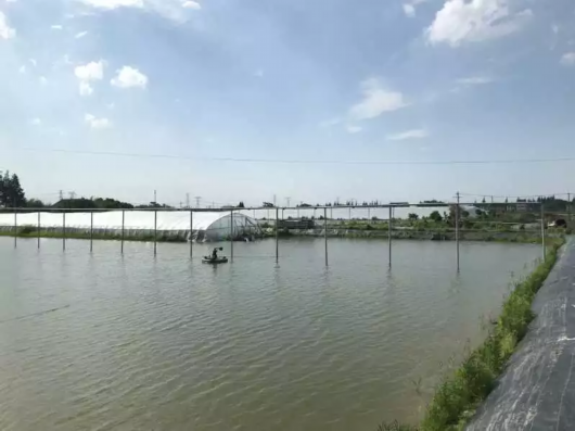 0710_103928_657.jpg 2019.7.10.3.jpg