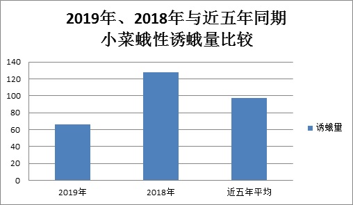 0628_095317_866.jpg 3.jpg
