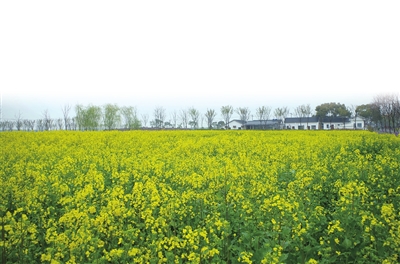 0402_132618_168.jpg 2019.4.2.1.jpg