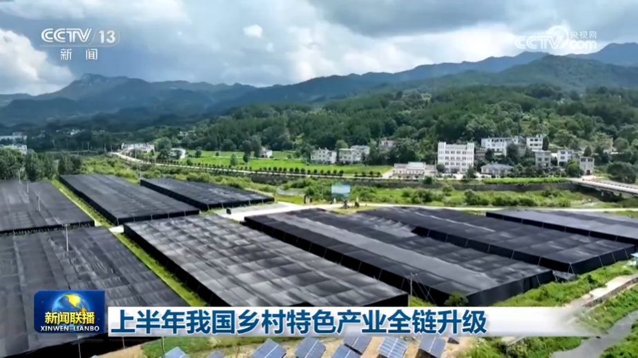 上半年我国乡村特色产业全链升级