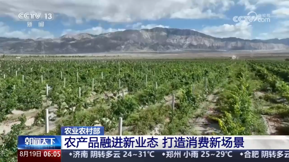 农业农村部 农产品融进新业态 打造消费新场景