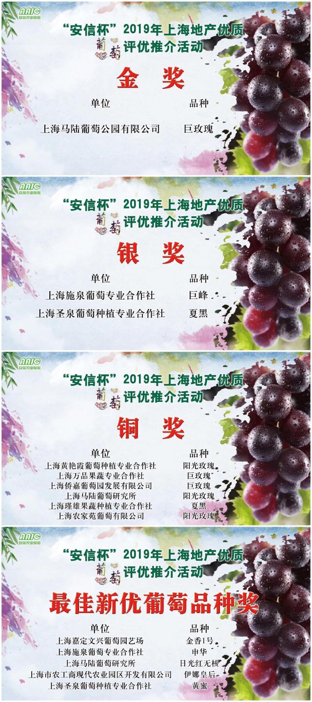 1031_095633_218.jpg 图片2.png