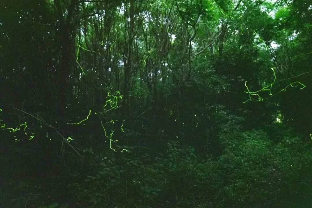 111.jpg