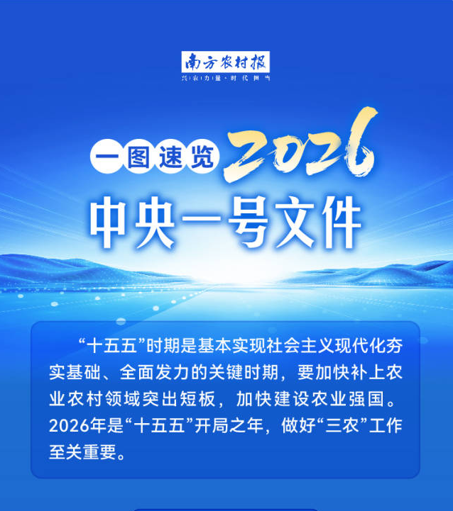 一图速览2026年中央一号文件