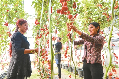 0904_142913_791.jpg 2019.9.4.1.jpg