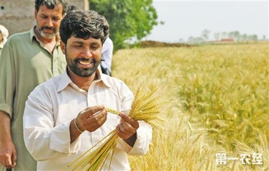 1024_141121_143.jpg 2018.10.24.2.jpg