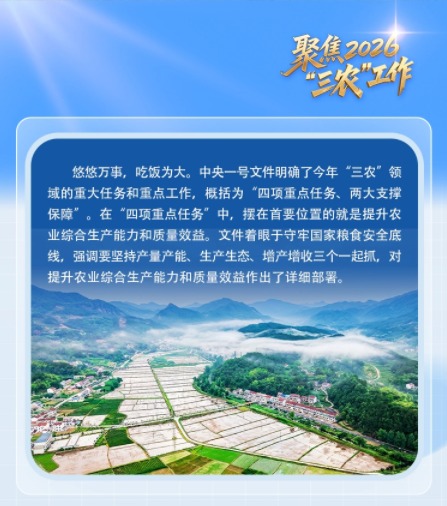 理响中国·聚焦2026“三农”工作丨 四项重点任务它居首位！一图解读中央一号文件关键部署
