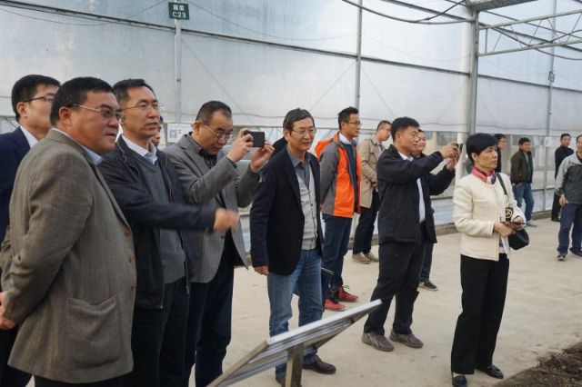 1128_170324_857.jpg 2.jpg