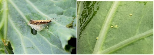 0628_094803_765.jpg 1.jpg