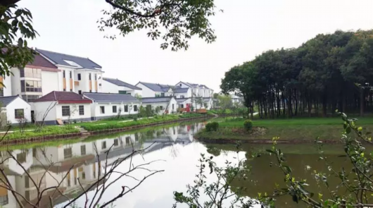 0710_103956_803.jpg 2019.7.10.5.jpg