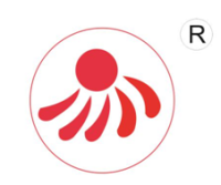 “申凤”大团蜜露桃——上海团凤农业科技有限公司