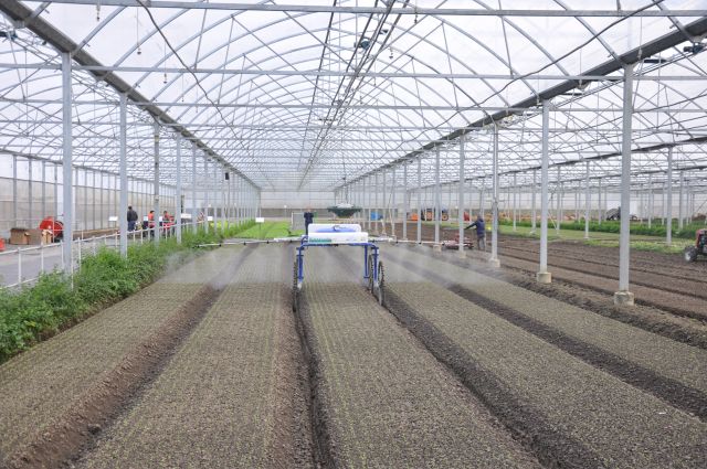 1128_170446_565.jpg 4.jpg