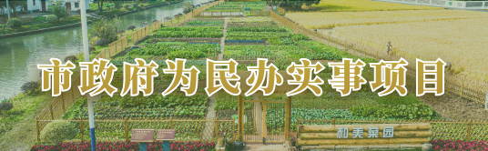 市政府为民办实事项目