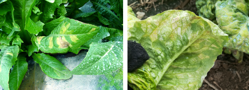 屏幕捕获_2024_03_12_14_35_21_362.png 屏幕捕获_2024_03_12_14_35_21_362.png