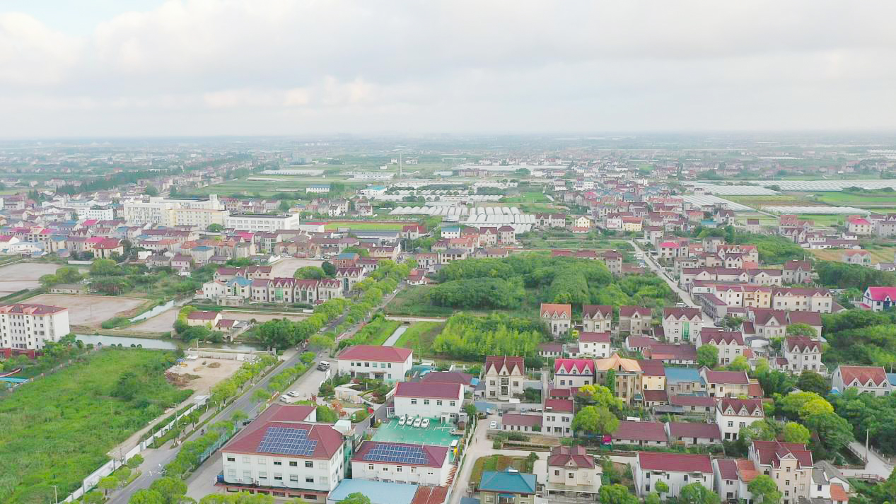 浦东新区老港镇建港村