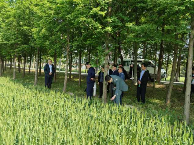 屏幕捕获_2023_05_06_15_32_56_354.jpg 屏幕捕获_2023_05_06_15_32_56_354.jpg