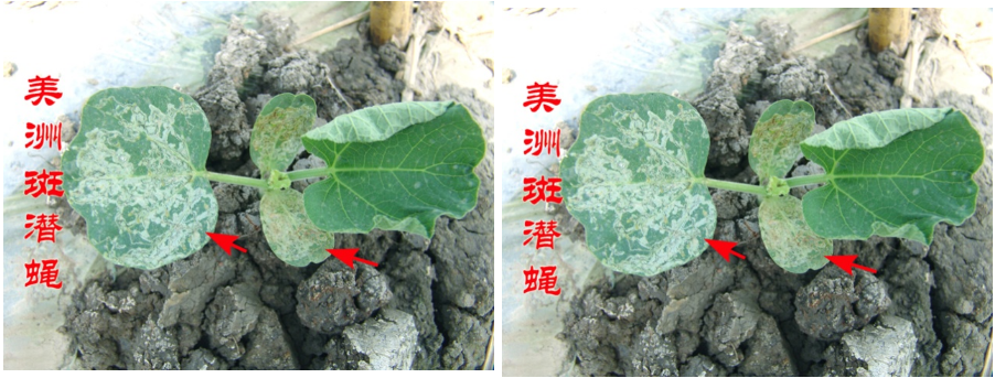 屏幕捕获_2024_02_07_15_26_36_554.png 屏幕捕获_2024_02_07_15_26_36_554.png