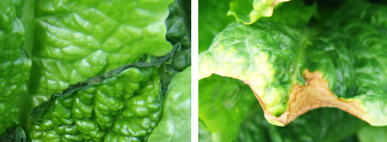 屏幕捕获_2024_03_12_14_35_13_227.png 屏幕捕获_2024_03_12_14_35_13_227.png