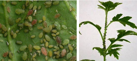 1121_130201_730.png QQ截图20181121130028.png