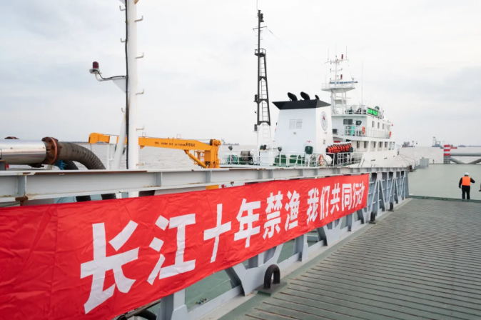 长江大保护十周年丨全民共治：从全面退捕到生态修复的上海路径