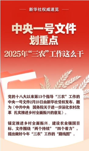新华社权威速览｜中央一号文件划重点，2025年“三农”工作这么干
