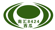 南汇8424西瓜——上海市浦东新区农协会