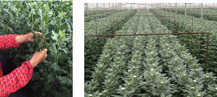 1121_130049_790.png QQ截图20181121125945.png