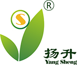 “扬升”蔬菜——上海扬升农副产品专业合作社