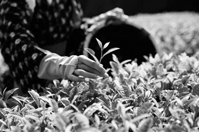 2020 2020.6.23.2.jpg