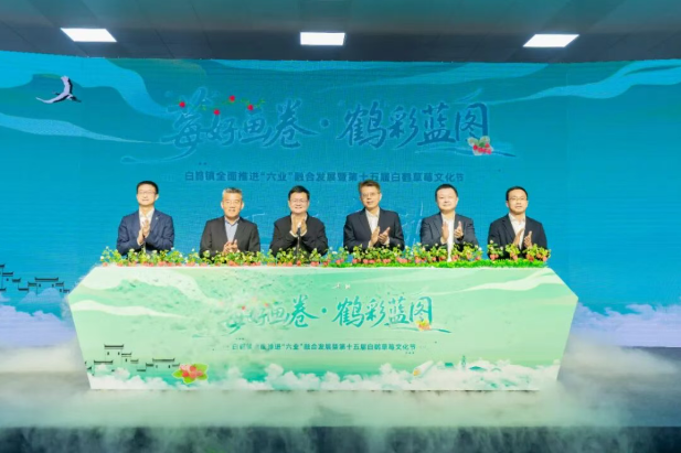 一颗“莓”撬动大产业，青浦区白鹤镇全面推进“六业”融合发展暨第十五届白鹤草莓文化节举行