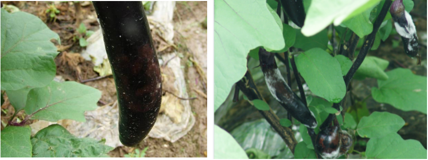 屏幕捕获_2024_02_07_15_11_12_528.png 屏幕捕获_2024_02_07_15_11_12_528.png