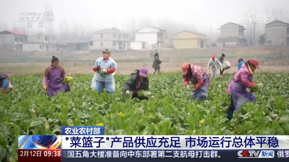 农业农村部 “菜篮子”产品供应充足 市场运行总体平稳