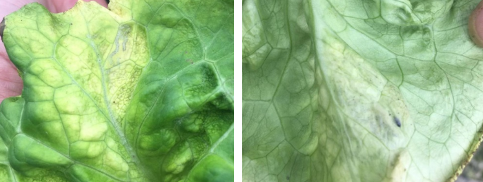 屏幕捕获_2024_03_12_14_35_55_659.png 屏幕捕获_2024_03_12_14_35_55_659.png