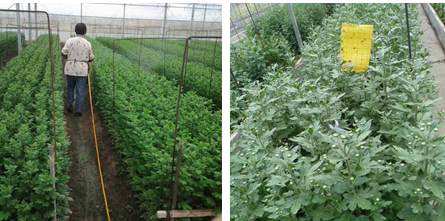 1121_130146_778.png QQ截图20181121130022.png