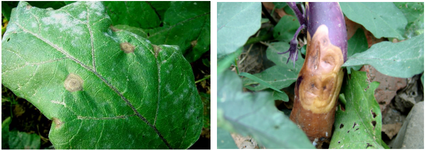 屏幕捕获_2024_02_07_15_11_21_60.png 屏幕捕获_2024_02_07_15_11_21_60.png