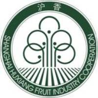 “沪香”枇杷——上海沪香果业专业合作社