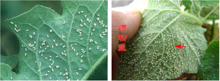 屏幕捕获_2024_02_07_15_26_16_676.png 屏幕捕获_2024_02_07_15_26_16_676.png