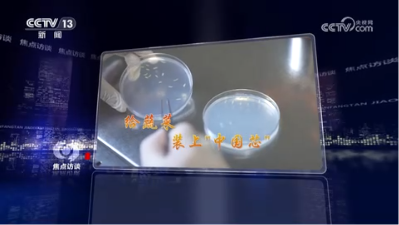 焦点访谈｜攥紧农业“芯片” 提稳中国“菜篮子”