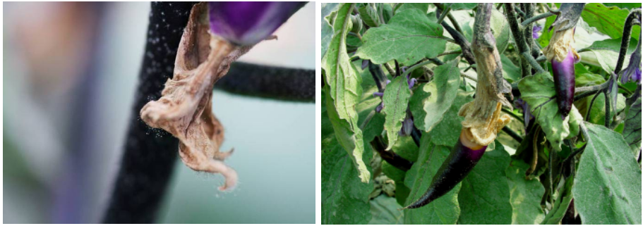 屏幕捕获_2024_02_07_15_11_41_412.png 屏幕捕获_2024_02_07_15_11_41_412.png