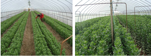 1121_130024_958.png QQ截图20181121125737.png