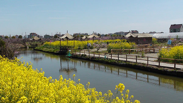 浦東新區大團鎮趙橋村