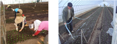 1121_130011_758.png QQ截图20181121125723.png