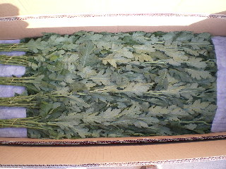 1121_111858_896.png QQ图片20181121111800.png