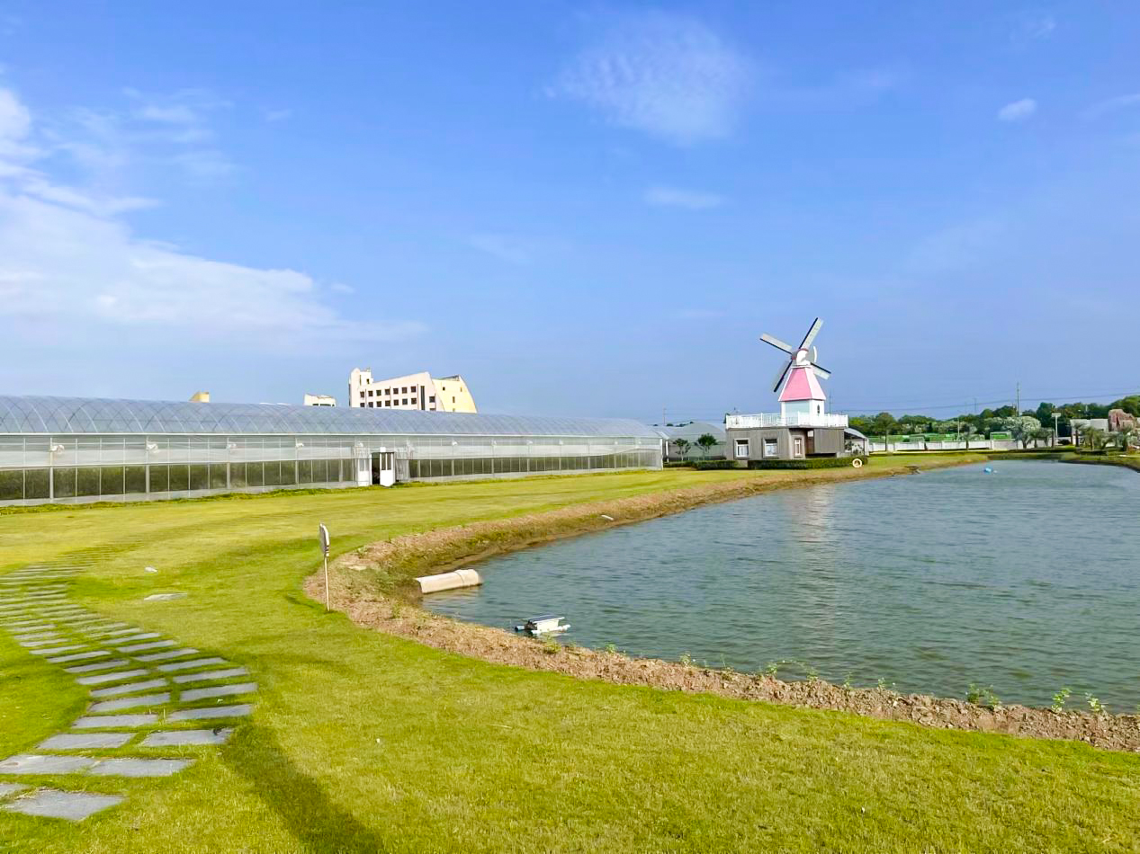 浦东新区合庆镇朝阳村