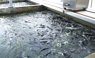 0606_105944_286.jpg 2019.6.6.2.jpg