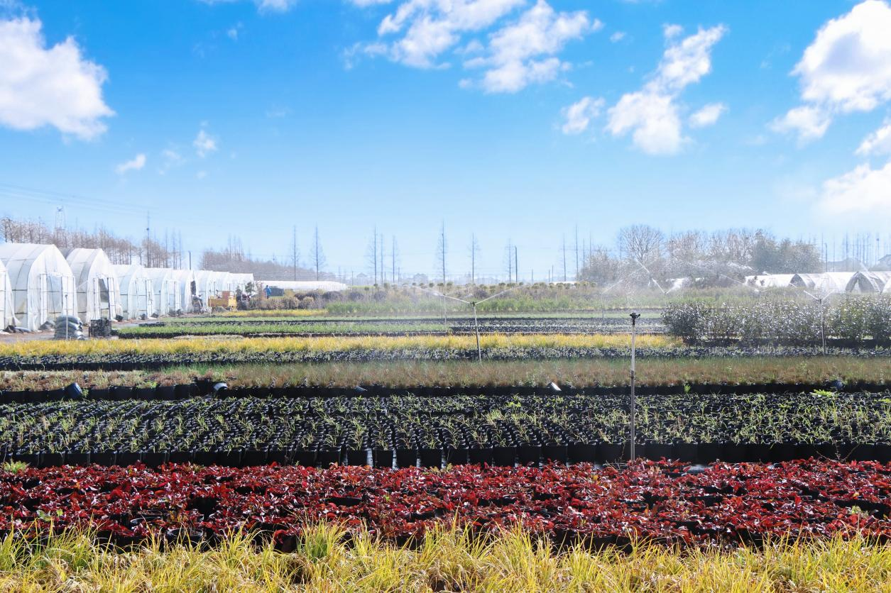 图片10 花卉基地.png